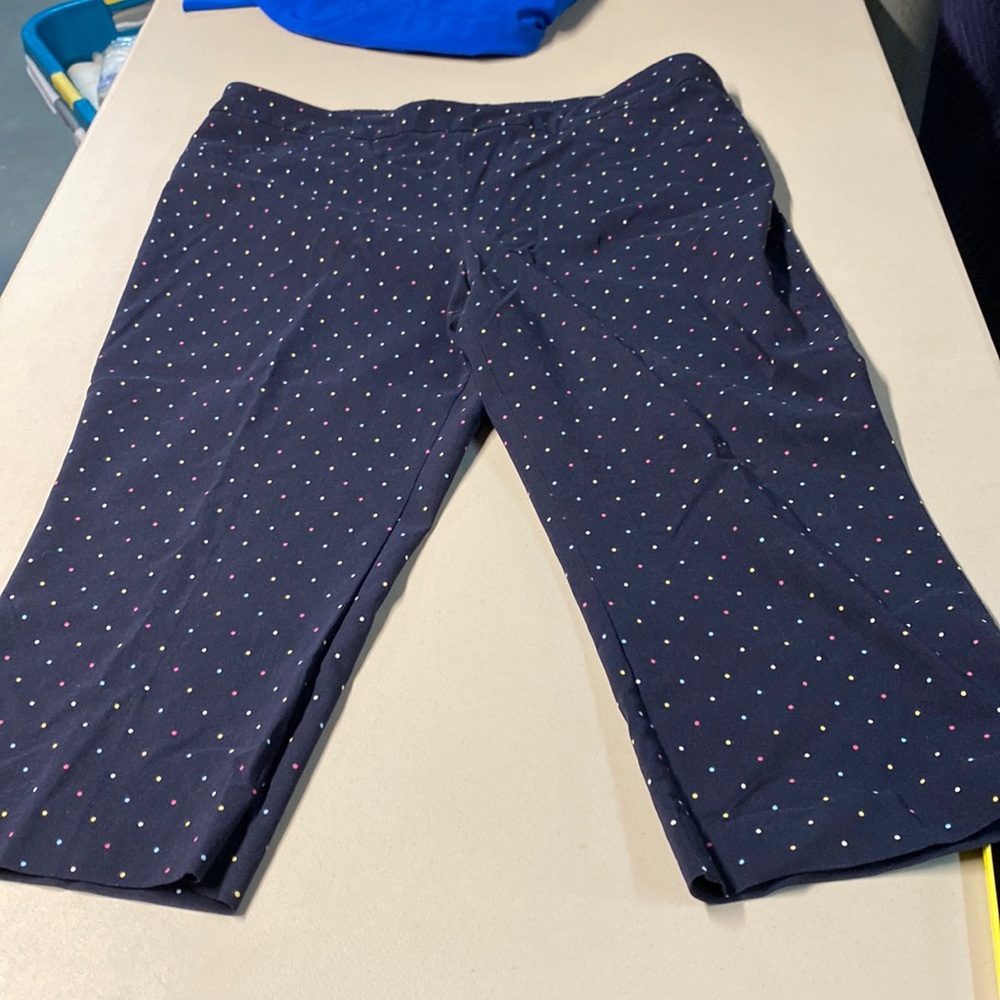 Briggs capris only worn once